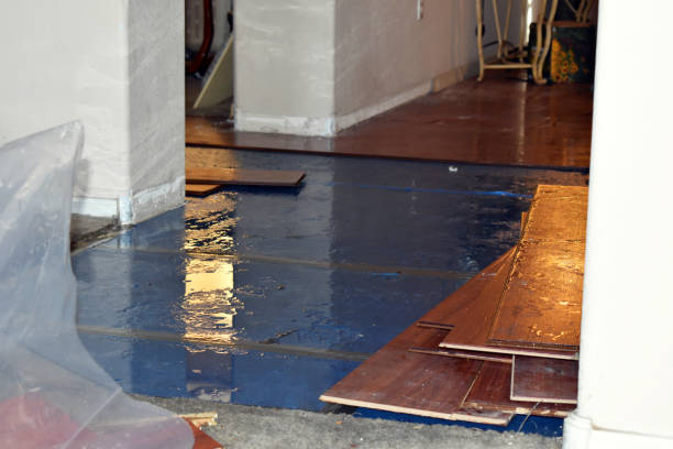 Professional Flood Cleanup technician working in Wadsworth, TX